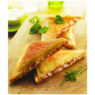 Tefal Snack Collection Triangle Toasted Sandwich Plates Set - Gomix Brands Outlet