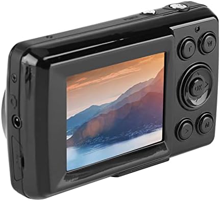https://m.media-amazon.com/images/I/41ApOJ7+D9L._AC_.jpg