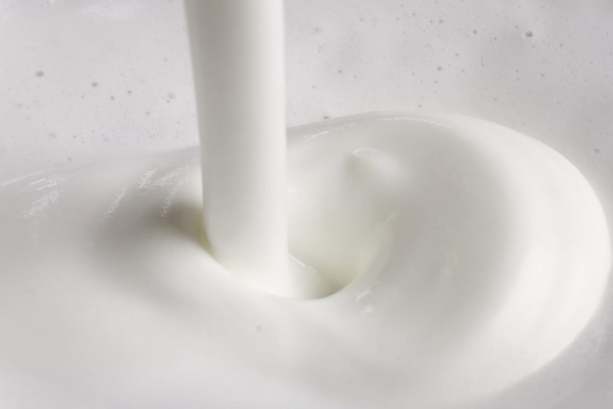 Philips Senseo Milk Frother