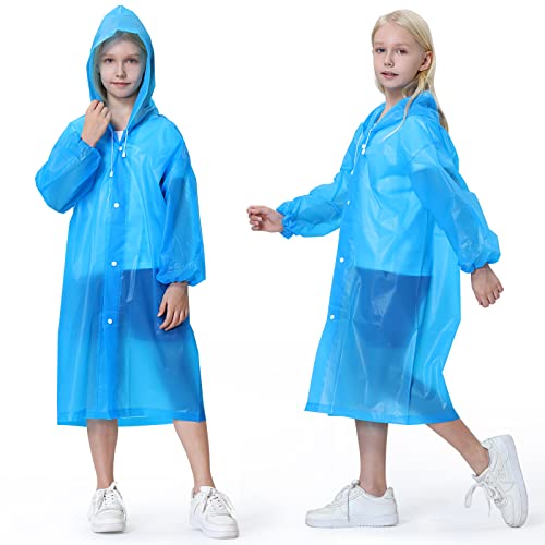 https://m.media-amazon.com/images/I/41ZYP948fCL.jpg