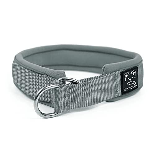 HeyDoggy! Soft Padded Reflective Dog Collar, Comfortable for Small to Large Dogs - Gomix Brands Outlet