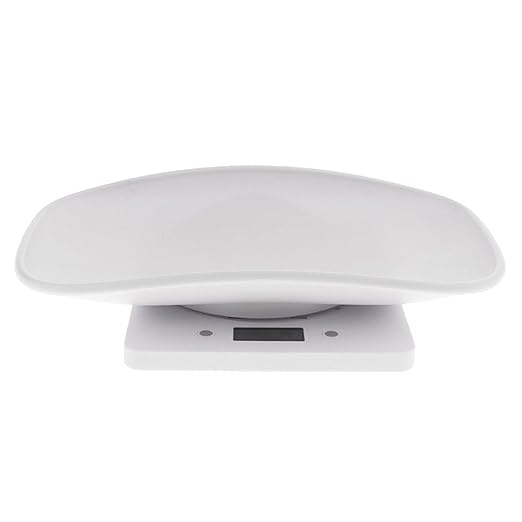https://m.media-amazon.com/images/I/41qR1ICcZdS._SX522_.jpg
