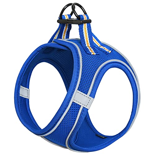 https://m.media-amazon.com/images/I/513ZGeZPh6L.jpg