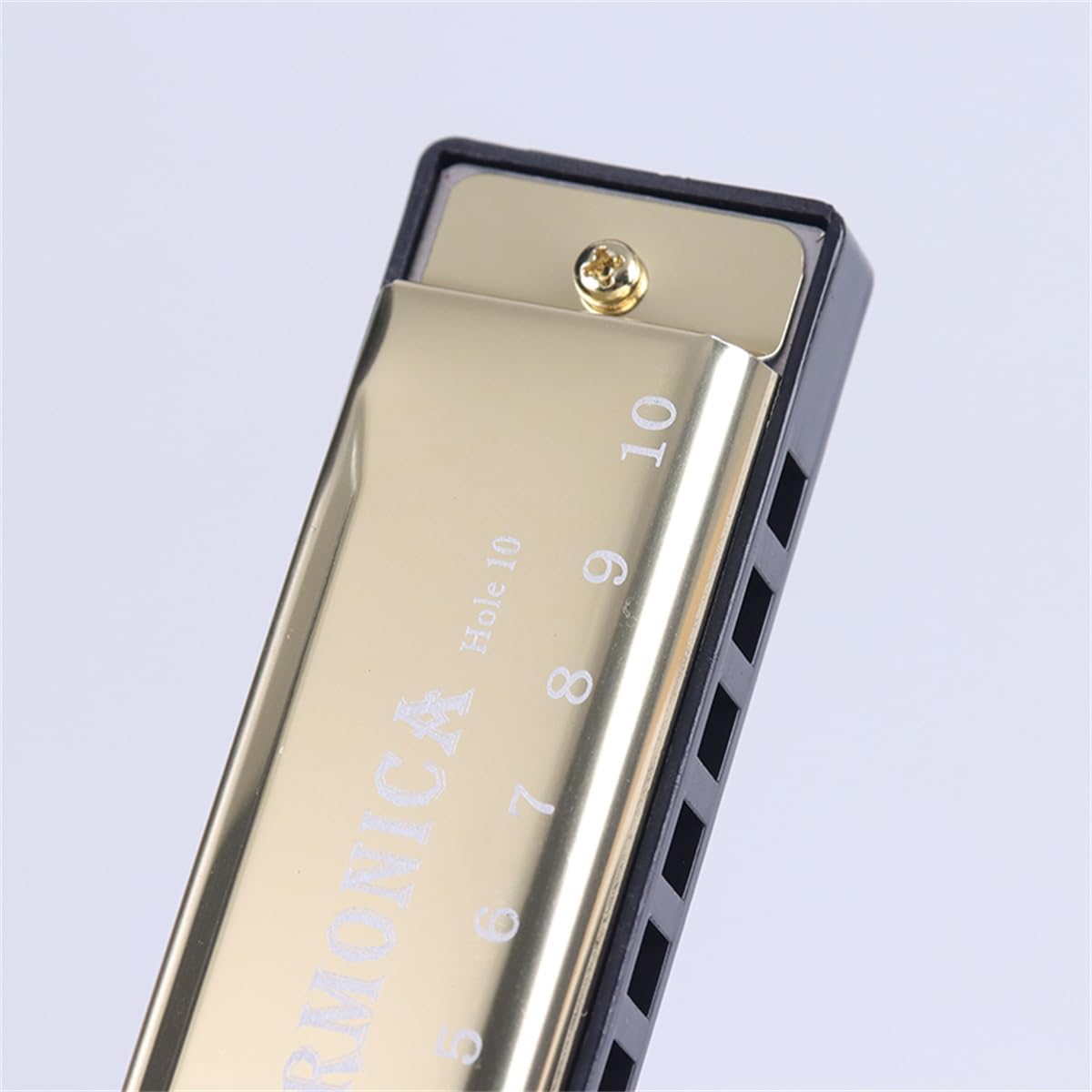 10 Hole Diatonic Harmonica Beginner Instrument - Gold, Key of C