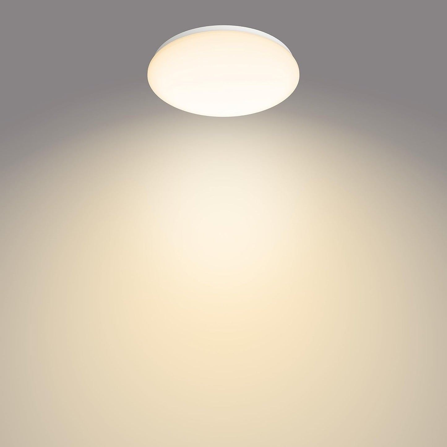 Philips 320mm LED Ceiling Light 17W 1700lm Warm White