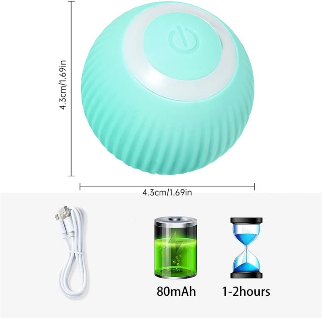 https://m.media-amazon.com/images/I/51zXZzuFCoL._AC_SL1100_.jpg