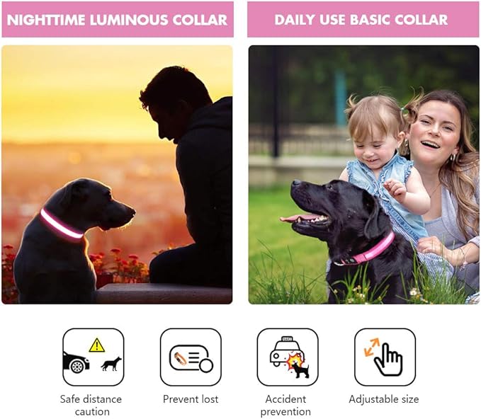 MASBRILL Rechargeable Waterproof Light-Up Dog Collar