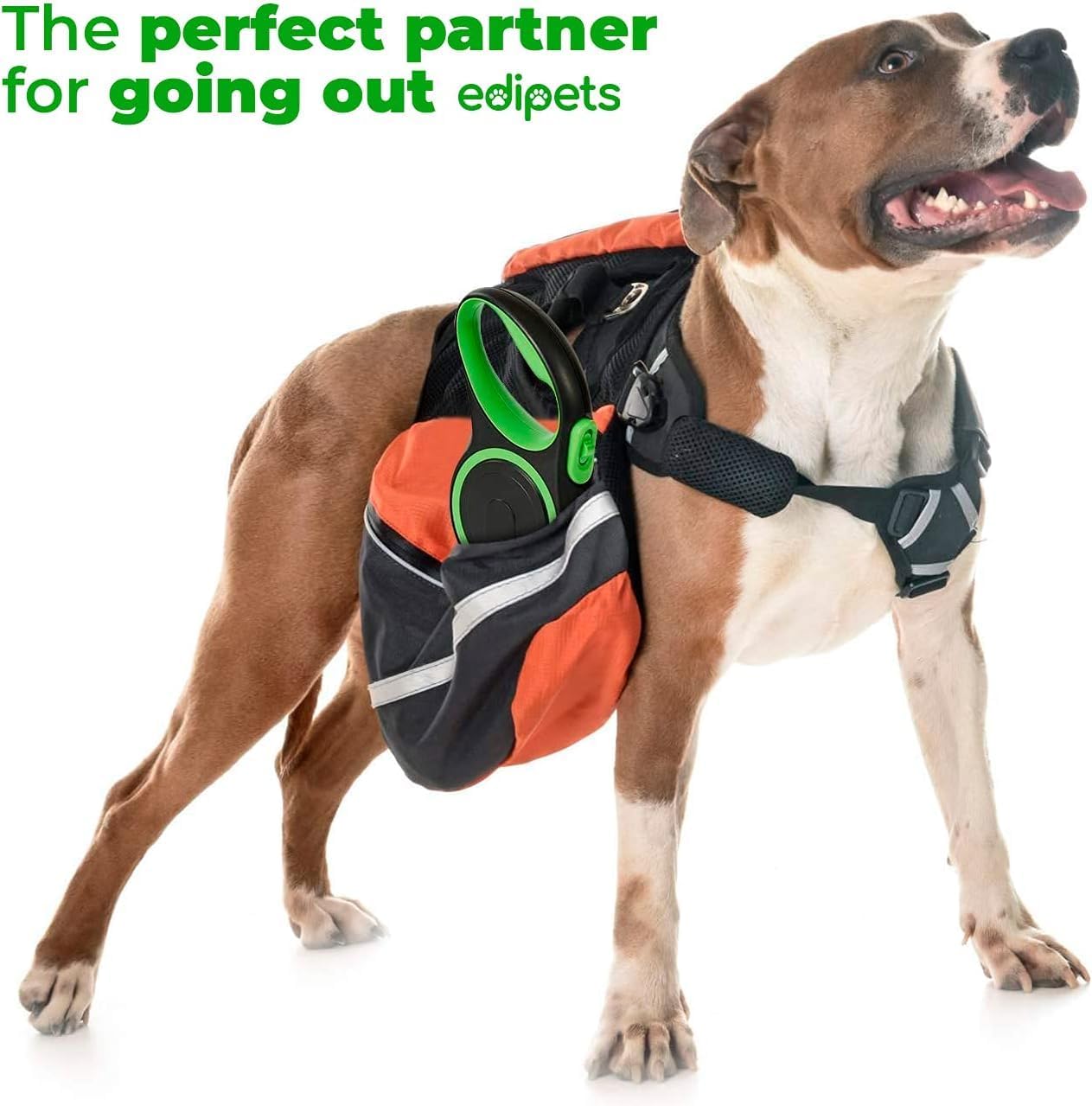 Edipets Retractable Dog Lead with Flexible Band for Walks