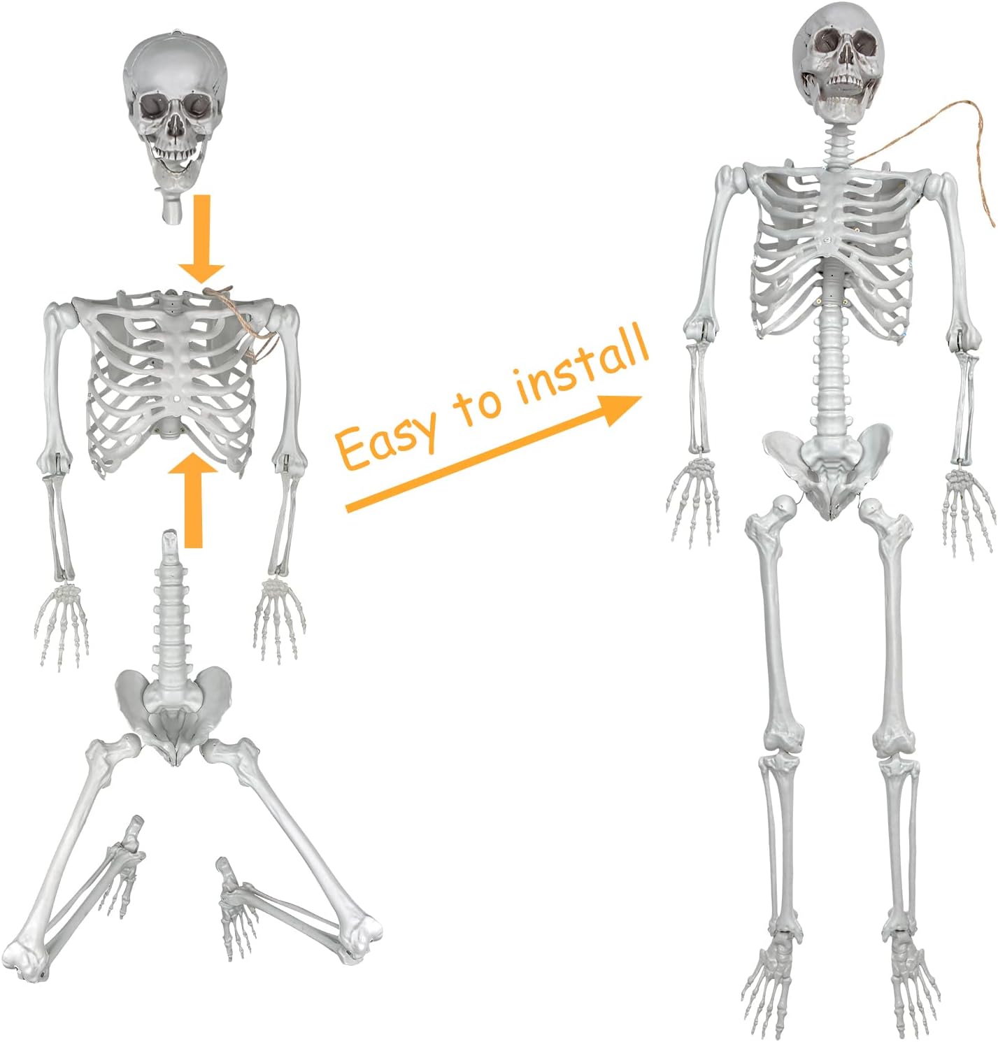 Life Size Halloween Skeleton Decor
