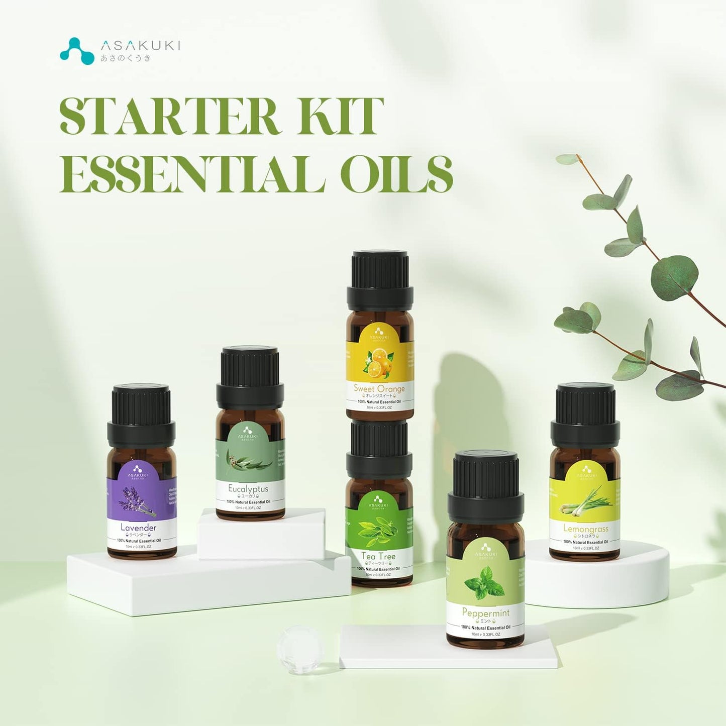 ASAKUKI 6-Count Essential Oil Diffuser Set – 10ml Bottles