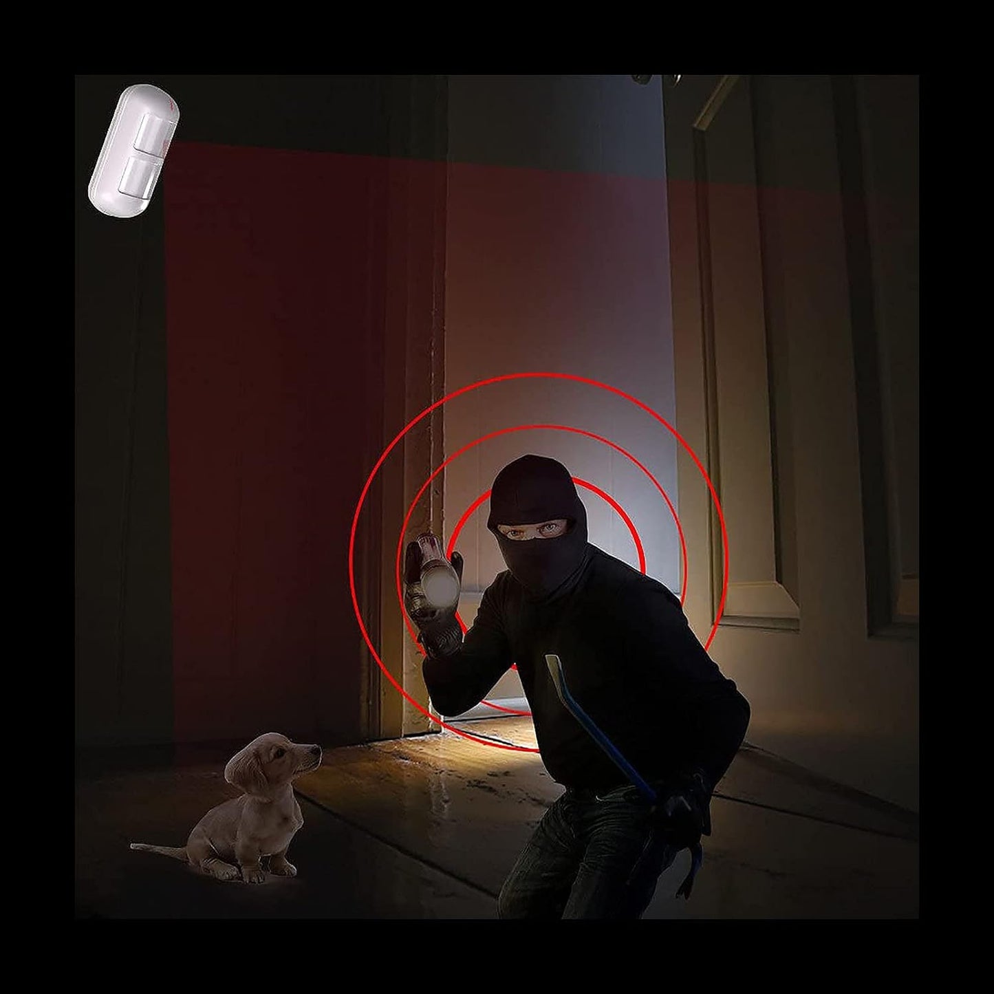 Pet Friendly Anti Intruder Motion Detector
