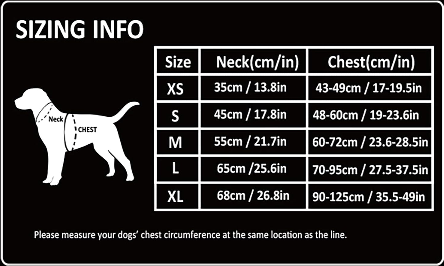 Truelove TLH5551 No Pull Dog Harness with Handle - Black