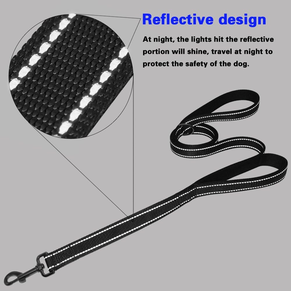 Durable Reflective Dog Leash with Dual Handles for Control