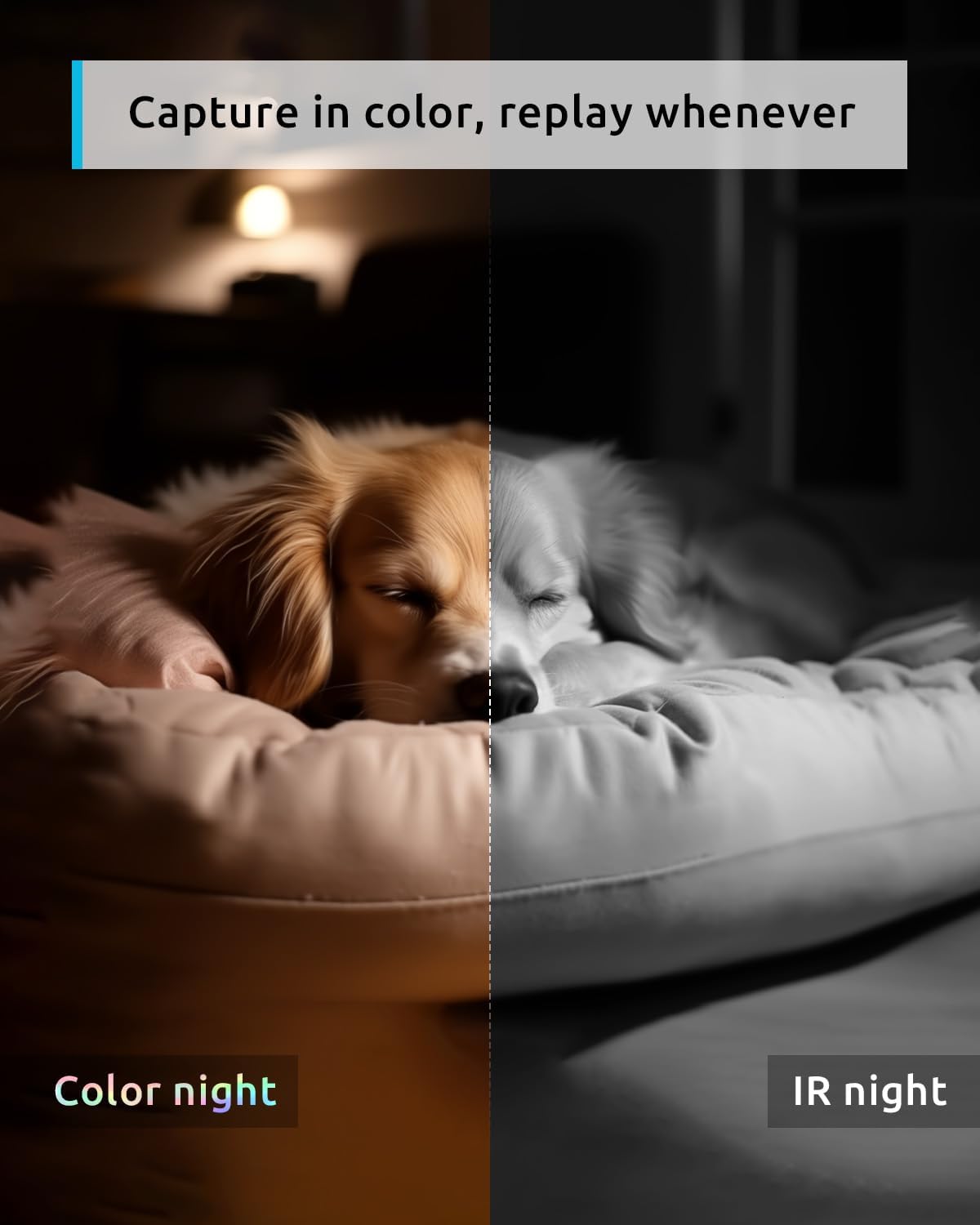 Pet Camera 2K
