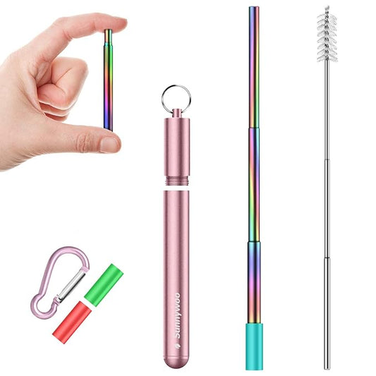 Rainbow Collapsible Stainless Steel Straw with Rose Gold Case