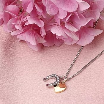 Morellato Passioni Woman Capsule Collection Steel Necklace with Crystals