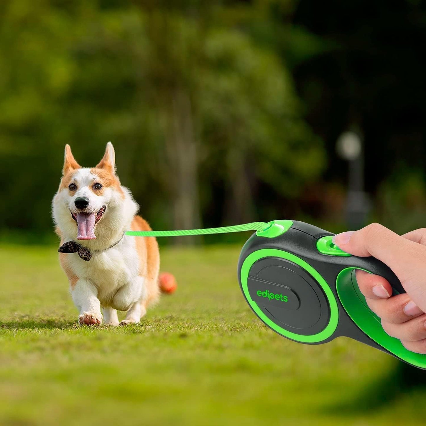 Edipets Retractable Dog Lead with Flexible Band for Walks