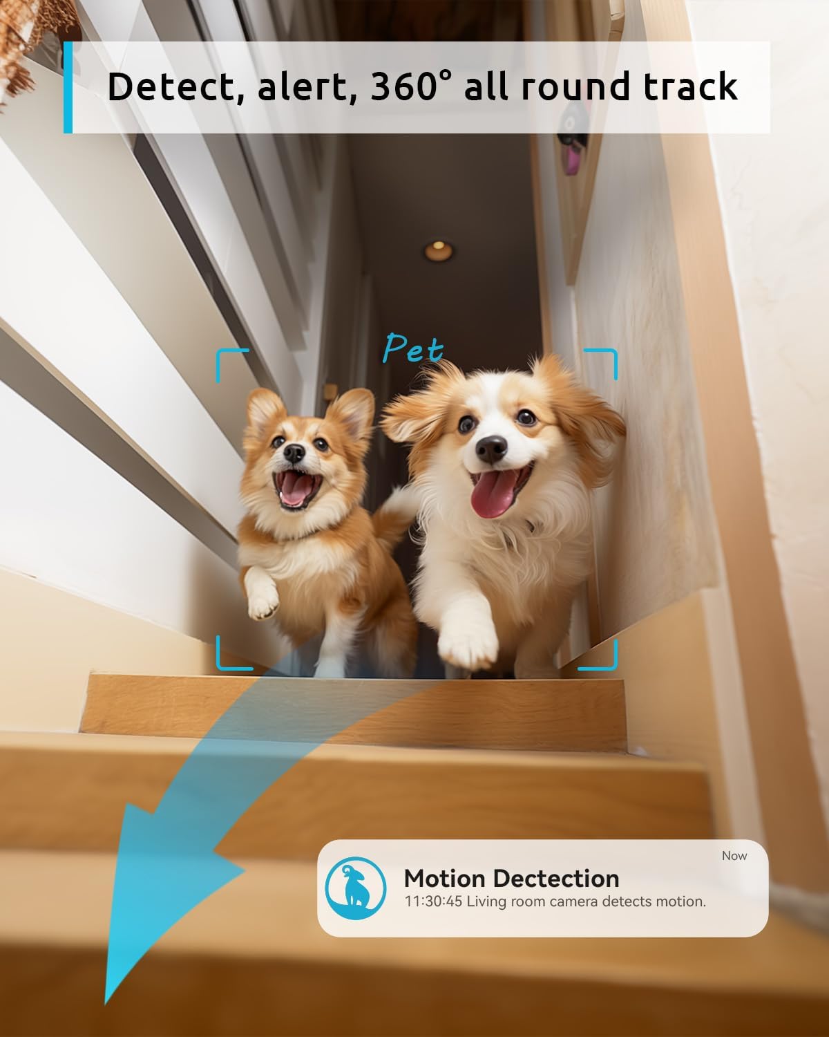 Pet Camera 2K