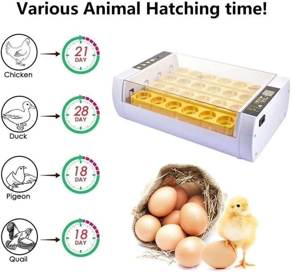 Smart Digital Egg Incubator: Automatic Turning, Temperature Control, LED Candler