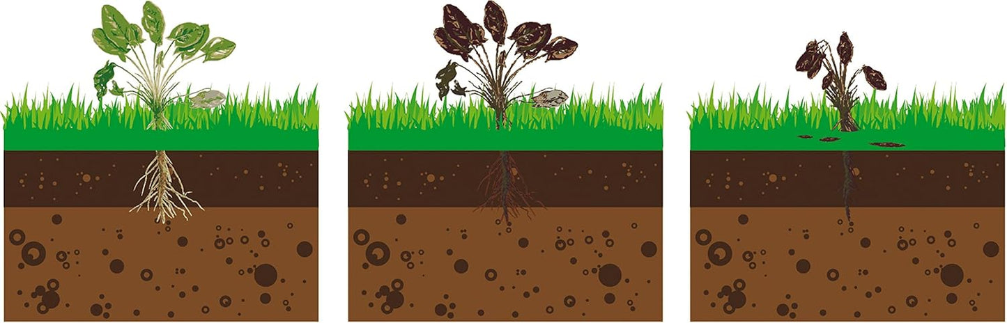 Fartools DT2000B Thermal Weeder - Environmentally Friendly Weed Control