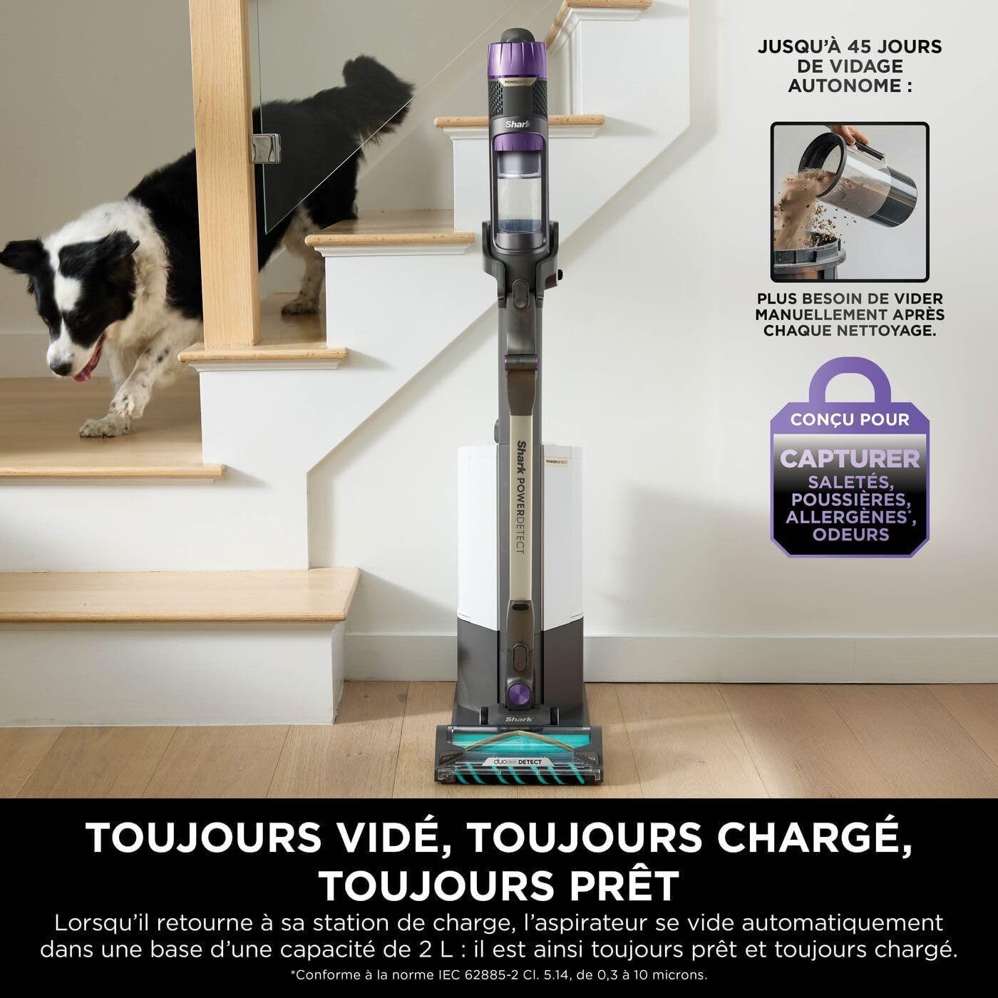 Shark Cordless Vacuum Cleaner