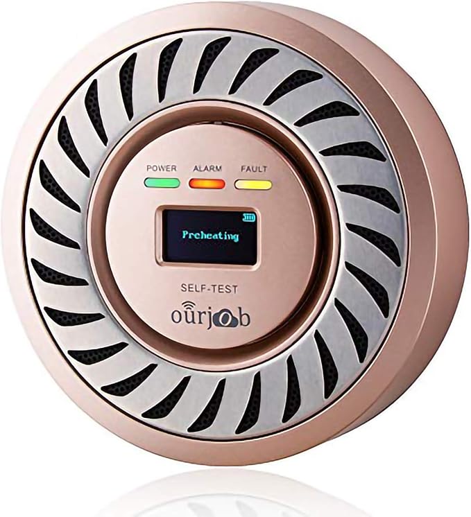 Rechargeable Carbon Monoxide Detector with OLED Display for Home and RV Safety