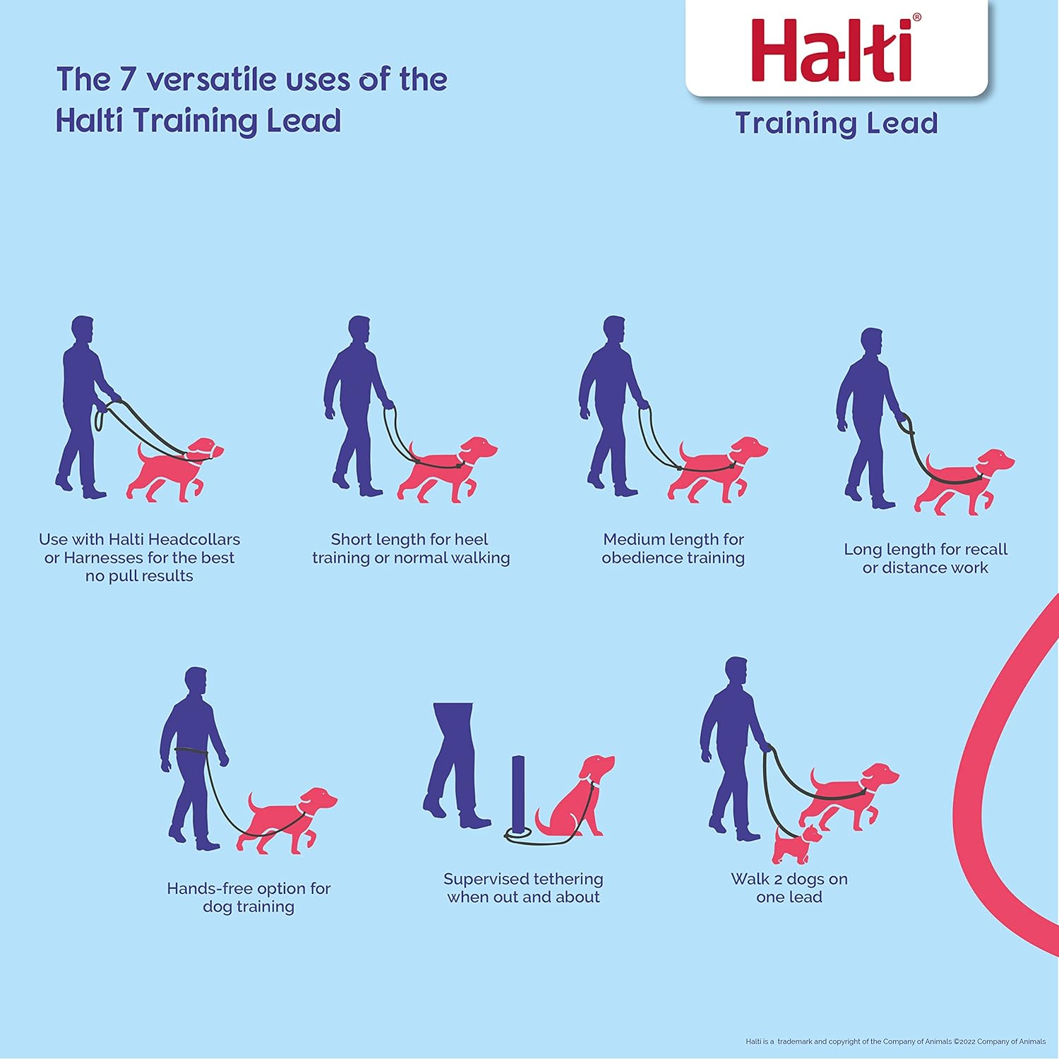 HALTI Multifunctional Dog Training Leash: Lightweight, Neoprene Padded, Puppy Safe