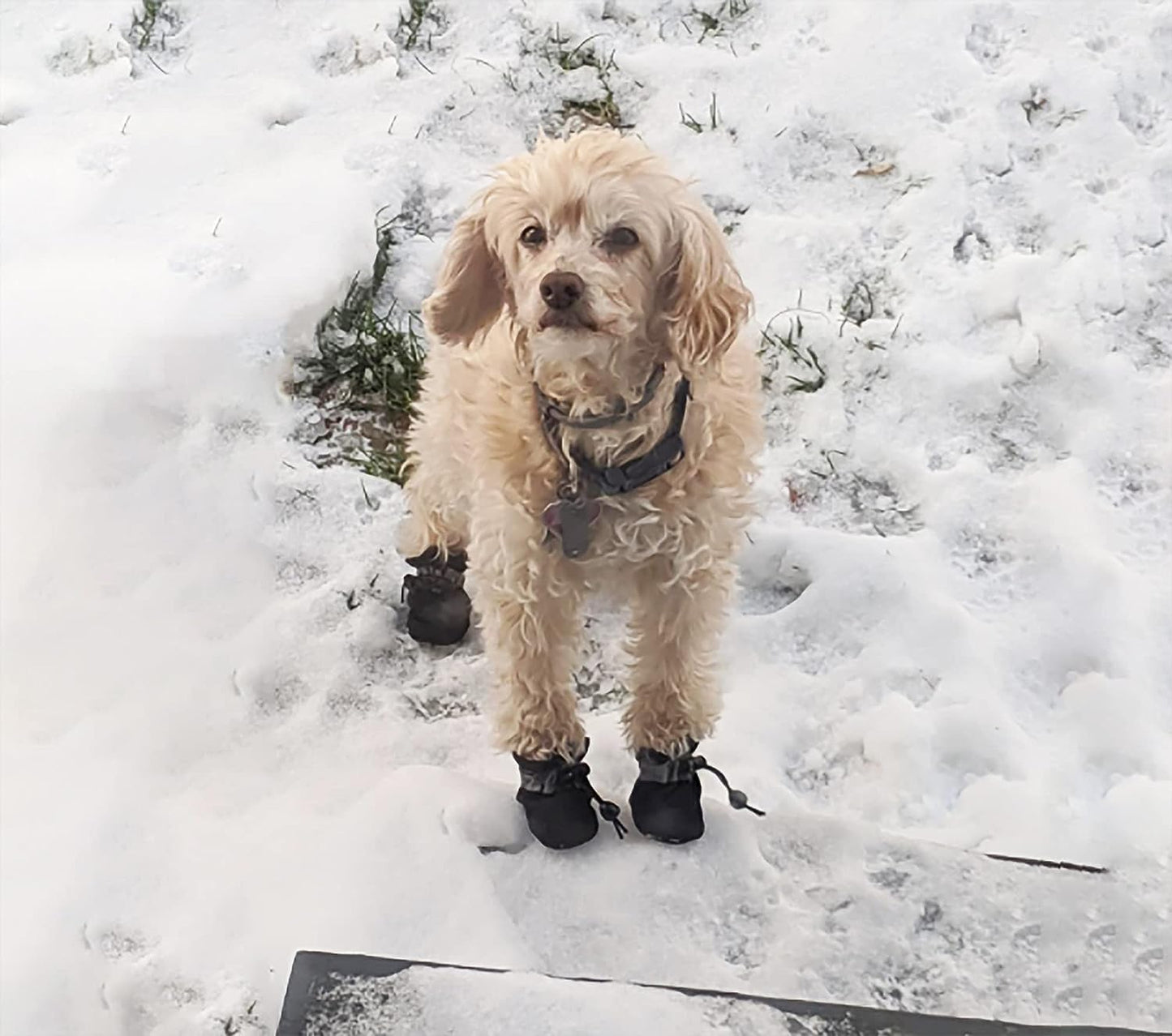 YAODHAOD Anti‑Slip Reflective Dog Boots for Small Dogs