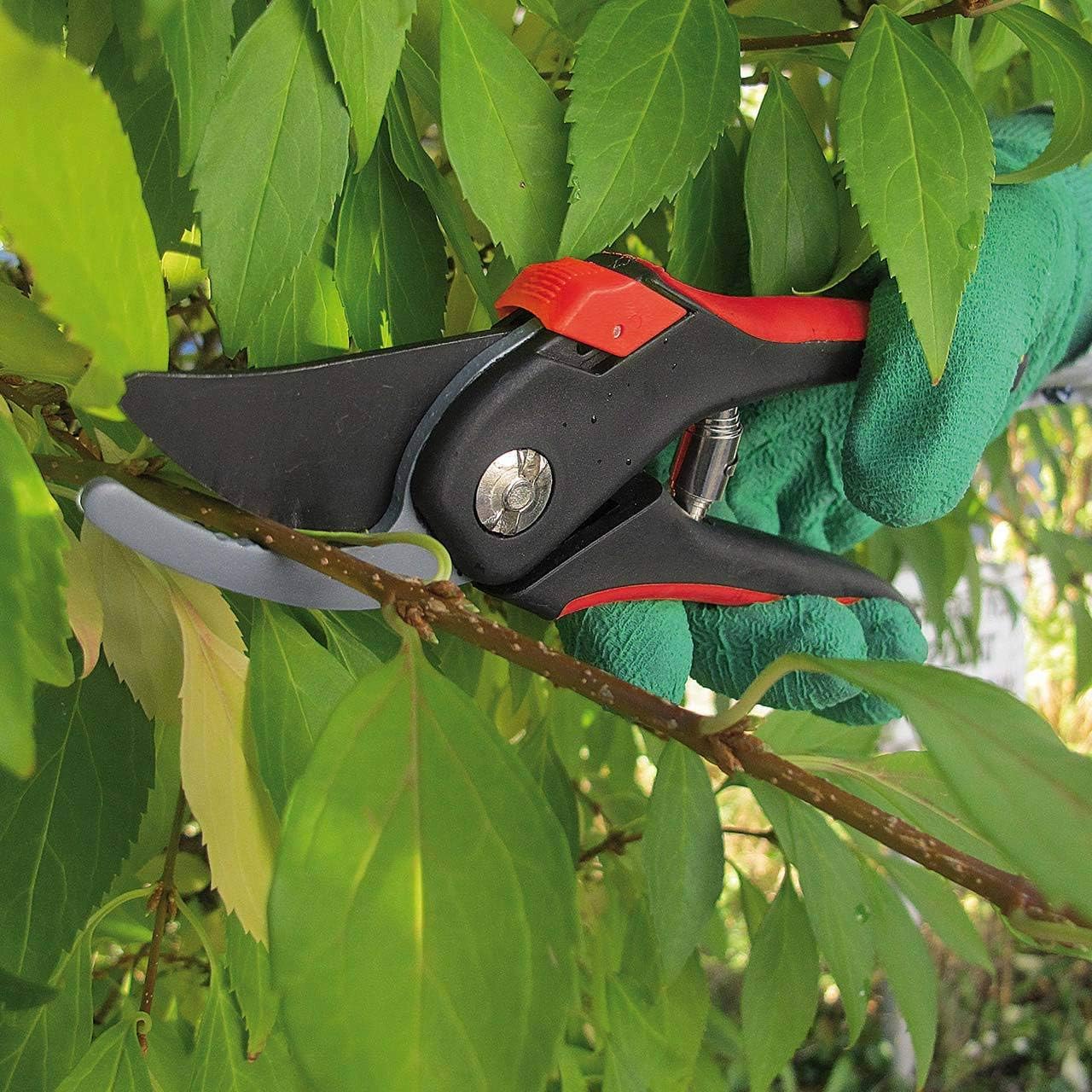 Walter Tools 3-Piece Secateurs Set – Red/Black Carbon Steel Garden Shears