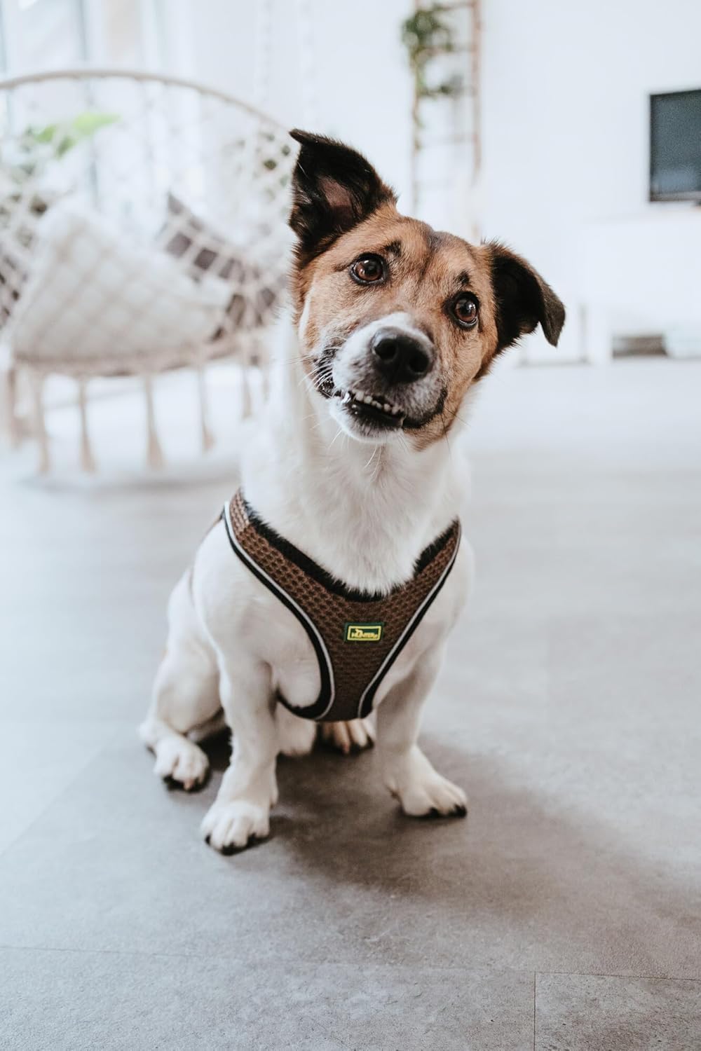 Hunter Hilo Comfort Dog Harness | Lightweight Mesh | Reflective Brown