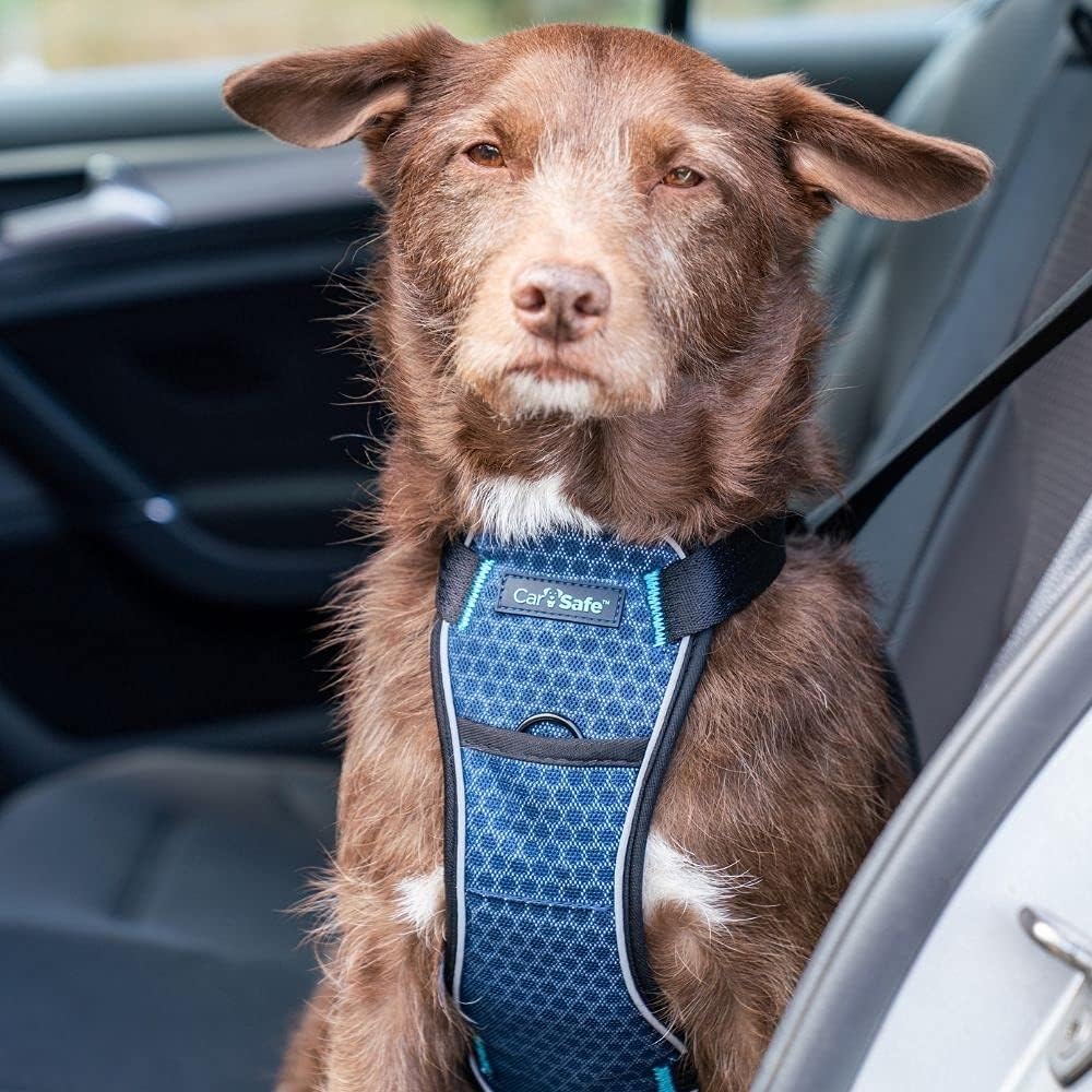 Crash Tested Dog Car Safety Harness: Reliable & Comfortable for Small Dogs