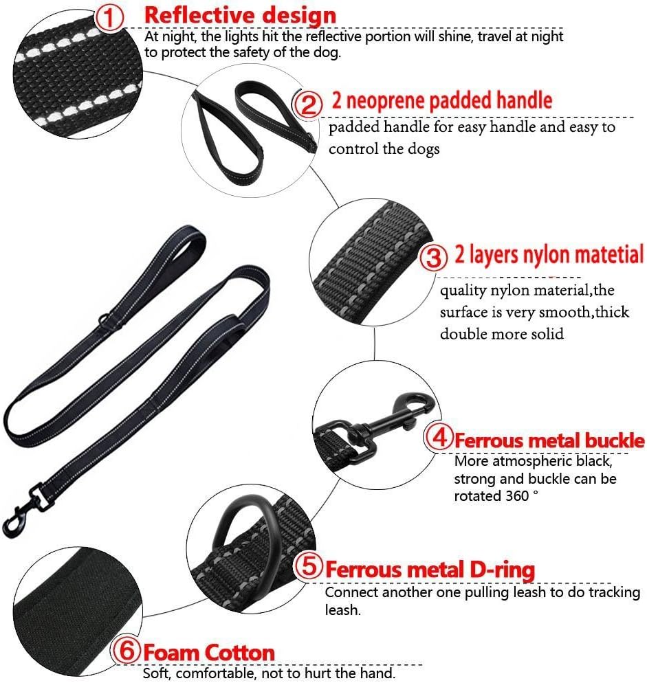 Durable Reflective Dog Leash with Dual Handles for Control