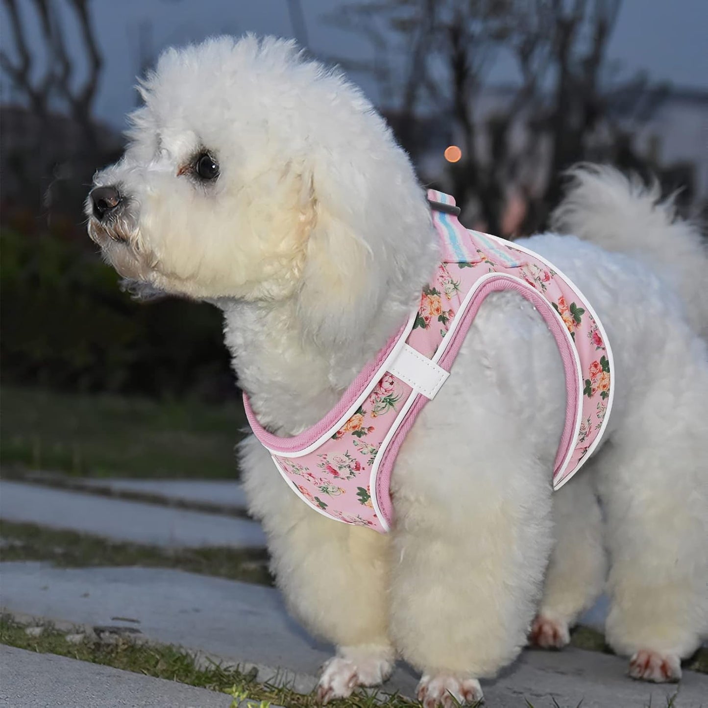 HEELE Dog Harness Soft Mesh Vest for Small Medium Dogs - Pink Flower