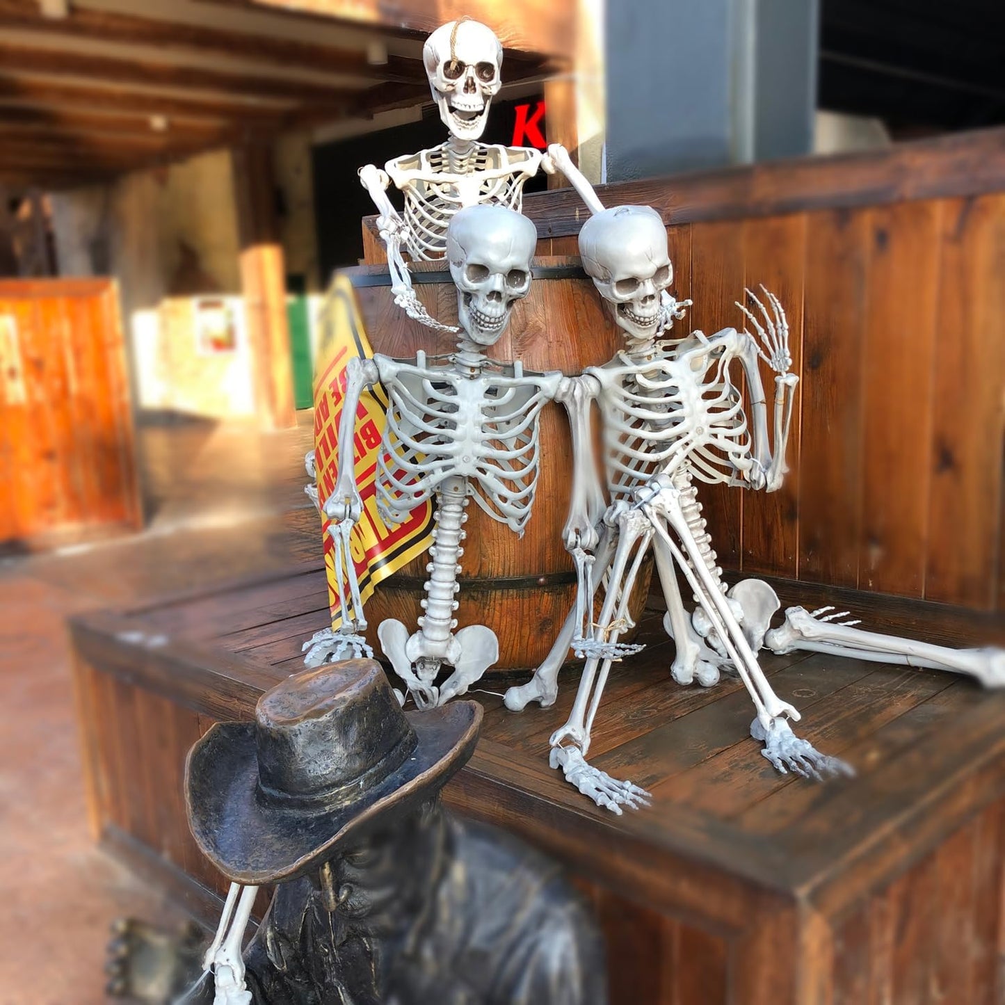 Life Size Halloween Skeleton Decor