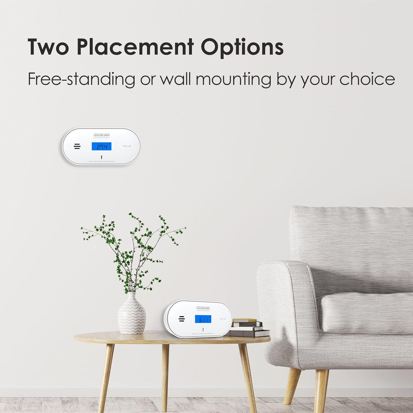 Digital Carbon Monoxide Detector: 10-Year Battery, LCD Display, Temp & Humidity
