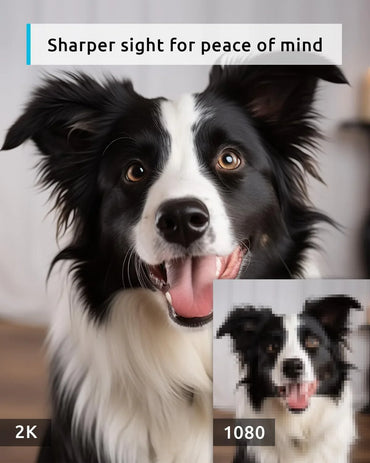 BLURAMS Pet Camera 2K - Gomix Brands Outlet