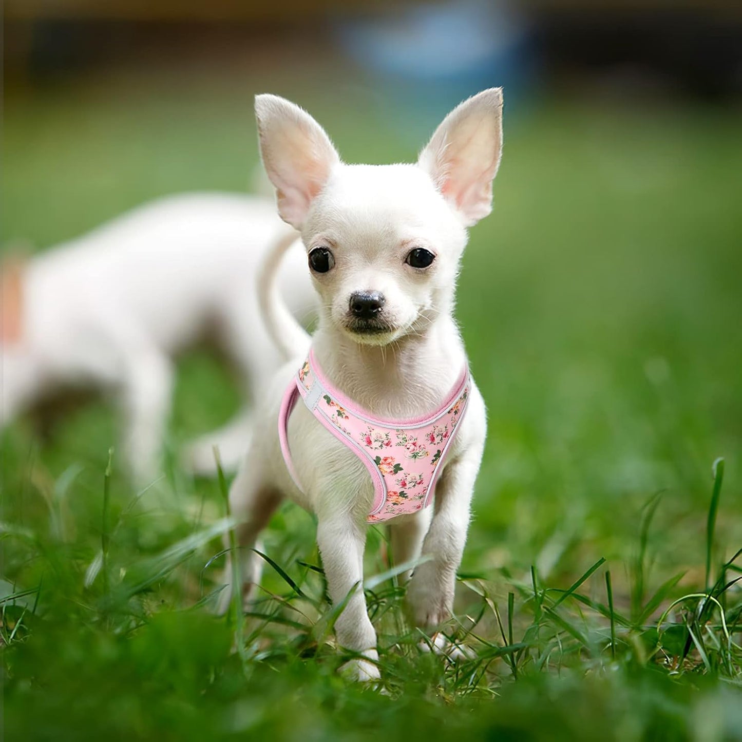 HEELE Dog Harness Soft Mesh Vest for Small Medium Dogs - Pink Flower