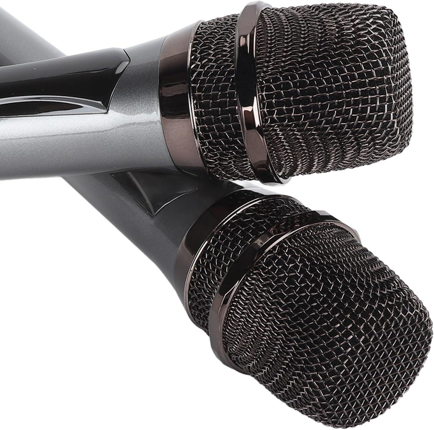 Denash Dual Handheld Wireless Karaoke Mic with LED Display - Gomix Brands Outlet