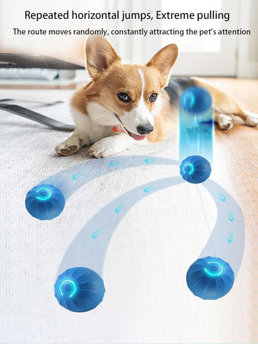 Winb Interactive LED Dog Ball – USB Rechargeable Motion‑Activated Rolling Toy for Small Dogs