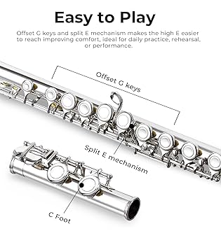 Vangoa 16 Key C Flute Instrument Set for Beginners with Accessories