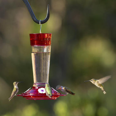 Ruby Red Glass Hummingbird Feeder with Ant Moat – 4 Ports