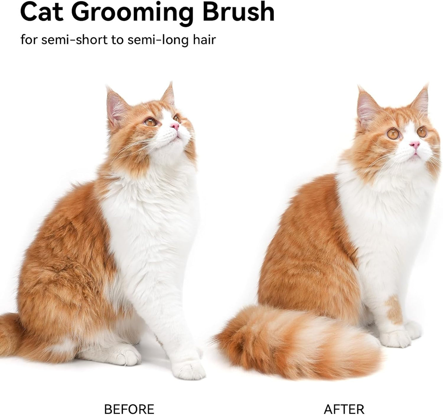 Aumuca Cat Brush for Shedding - Gentle Grooming & Massage Tool