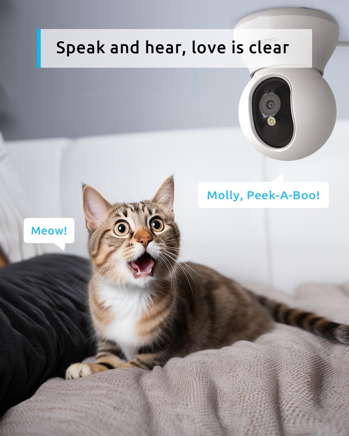 Pet Camera 2K