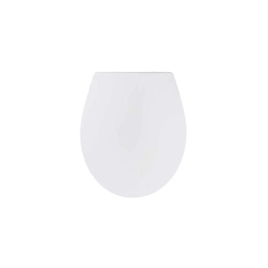 https://cdn.shopify.com/s/files/1/0624/3549/2005/files/753582_14095992-b0a1-4181-85e9-11ed84fb73db.jpg?v=1753499320