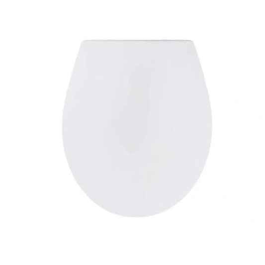 https://cdn.shopify.com/s/files/1/0624/3549/2005/files/753582_14095992-b0a1-4181-85e9-11ed84fb73db.jpg?v=1753499320