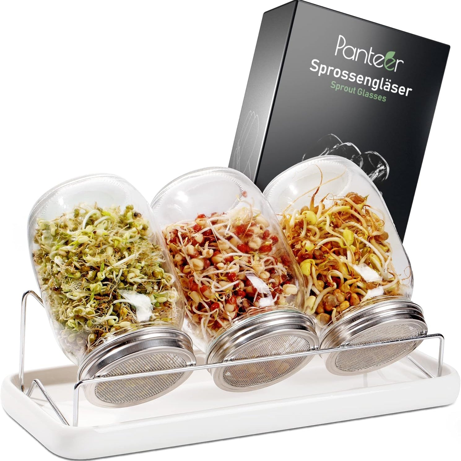 Panteer 940ml Sprout Jar Set with Stainless Lid and Strainer