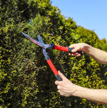 WALTER Garden Shears Set – Carbon Steel Pruning, Hedge, Rose
