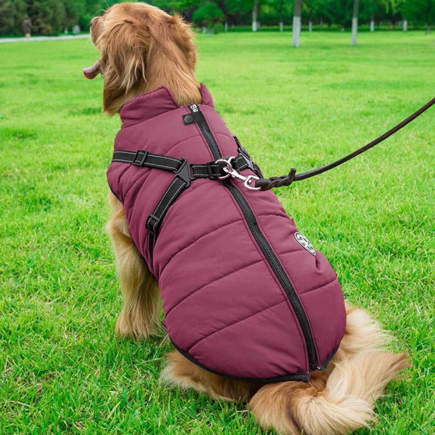 Aiboria Windproof Dog Jacket: Warm Fleece Vest with Harness