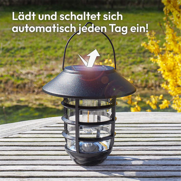 https://m.media-amazon.com/images/I/81gC1mgTBIL._AC_SL1500_.jpg