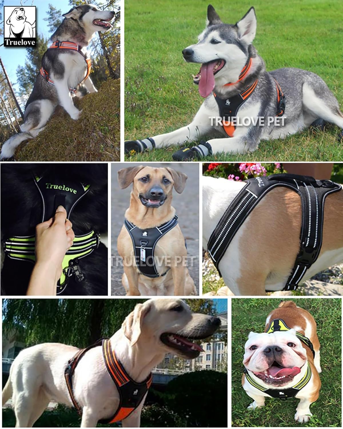 Truelove TLH5551 No Pull Dog Harness with Handle - Black